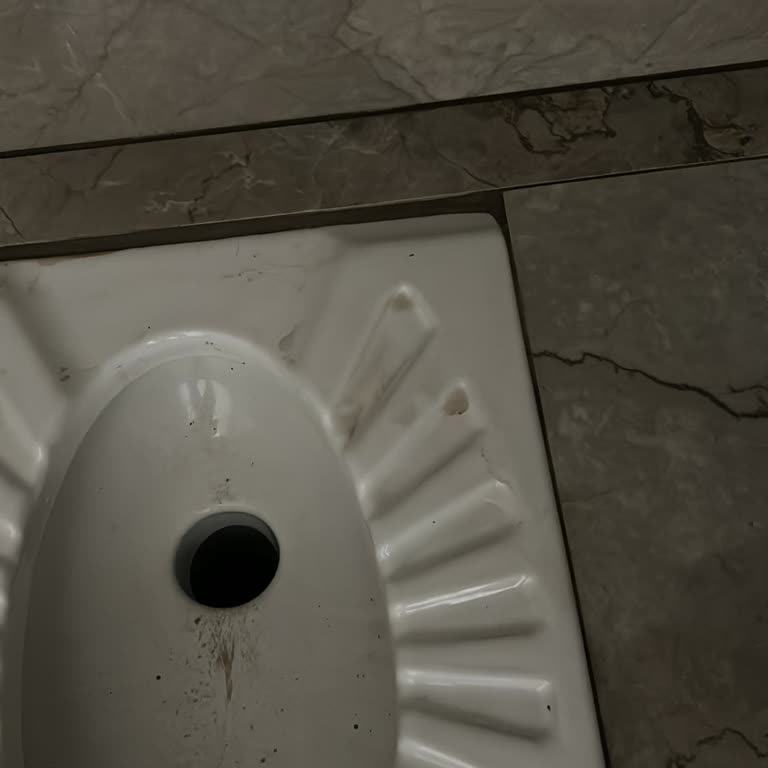 Yeni Aldığım Tuvalet Taşında Su Birikintisi Sorunu Yaşadım