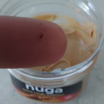 Fiskobirlik Fındık Kremasında Sert Parçalar Çıktı, Dişimi Kırıyordum