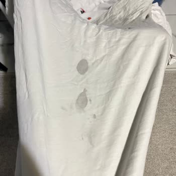 Siemens Ev Aletleri Yeni Alınan Çamaşır Makinesi Çamaşırları Boyuyor, Çözüm Sunulmuyor