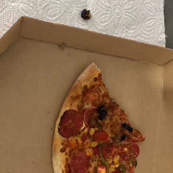 Pizzadan Çıkan Zeytin Çekirdeği Dişimi Kırdı