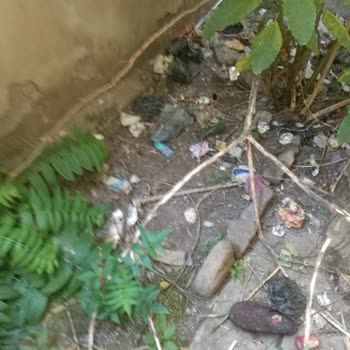 Yan Binadan Atılan Çöpler Yüzünden Bahçemde Sürekli Kirlilik Ve Sağlık Sorunları Yaşıyorum