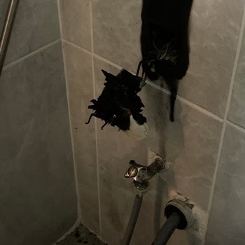 Ürün Arızası Sonrası Servis ve İletişim Sorunu