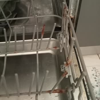 Silverline Bulaşık Makinesi Arızası Ve Servis Sürecinde Yaşanan Uzun Süreli Mağduriyet