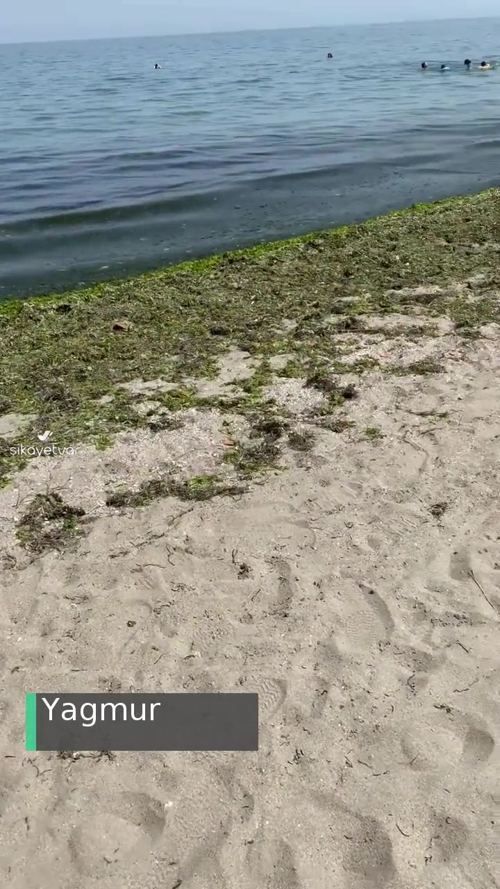 Tekirdağ Topağaç Burun Plajı Temizlik Sorunu videonun kapak resmi