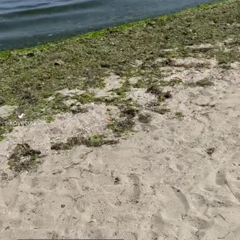 Tekirdağ Topağaç Burun Plajı Temizlik Sorunu