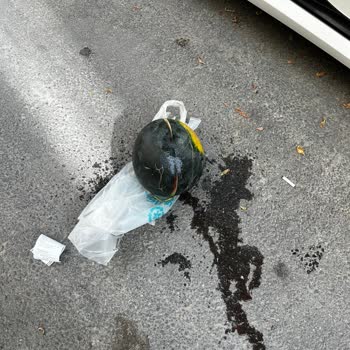 Aldığım Karpuz Poşetinin Yırtılmasıyla Yaşanan Mağduriyet