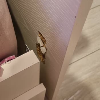 Daybed Bazalar 1 Ayda Kırıldı, Firma Sorumluluk Almadı