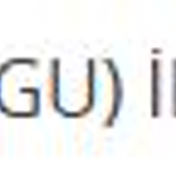 Sorgu Hakkı Yanıltıcı Bilgilendirme Ve Olumsuz Müşteri Hizmetleri Deneyimi
