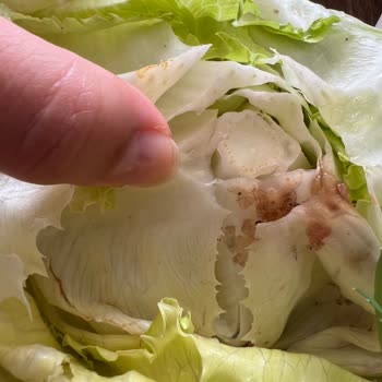 Çürük Malzeme Ve Eksik İade: Siparişimde Çifte Hayal Kırıklığı