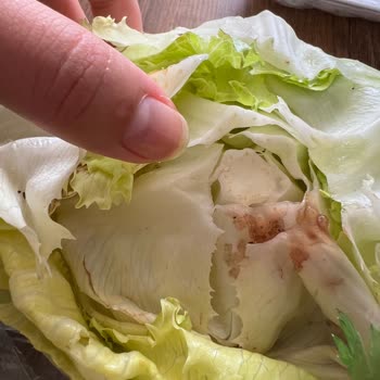 Çürük Malzeme Ve Eksik İade: Siparişimde Çifte Hayal Kırıklığı