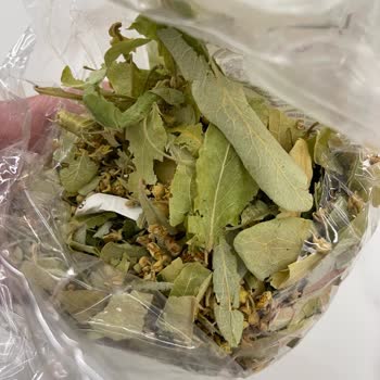 Kapalı Paket Ihlamurdan Sigara İzmariti Çıkması