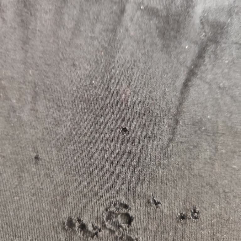 Profilo Çamaşır Makinesi Çamaşırları Yıpratıyor, Servisten Çözüm Alamıyorum