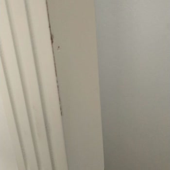 Sipariş Hataları, Eksik Ve Hasarlı Ürünler, İlgisiz Mağaza!