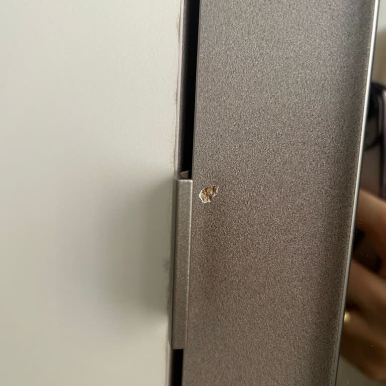 Teslimat Gecikmesi, Eksik Ve Hatalı Ürünler, İlgisiz Müşteri Hizmetleriyle Mağduriyet