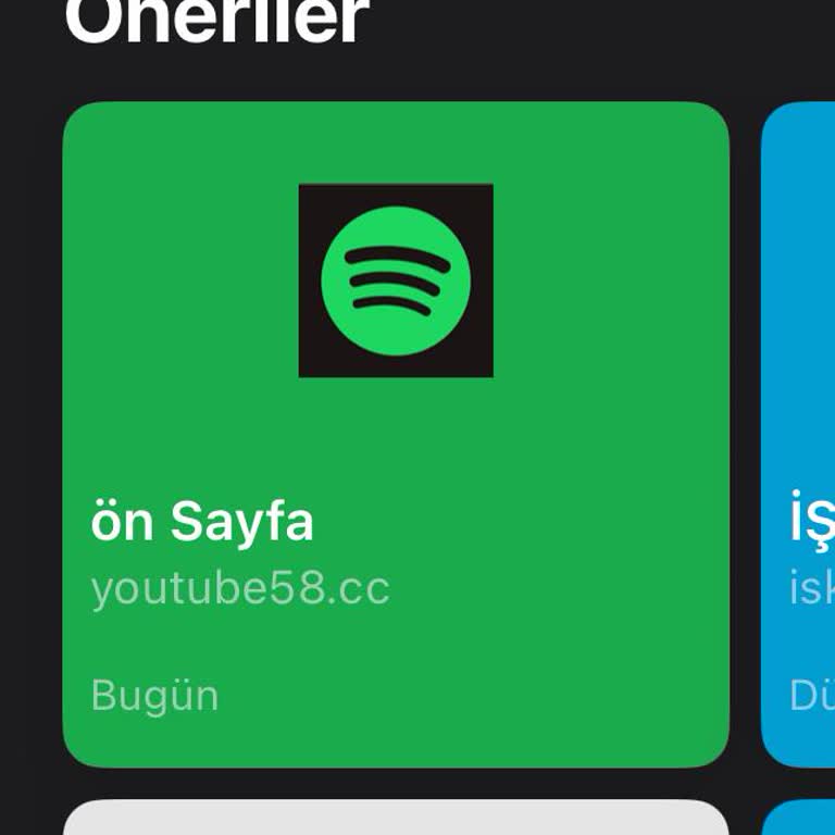 Sahte Web Sitesi Üzerinden Yüksek Miktarda Maddi Kayıp Ve Yanıltıcı Reklamlar