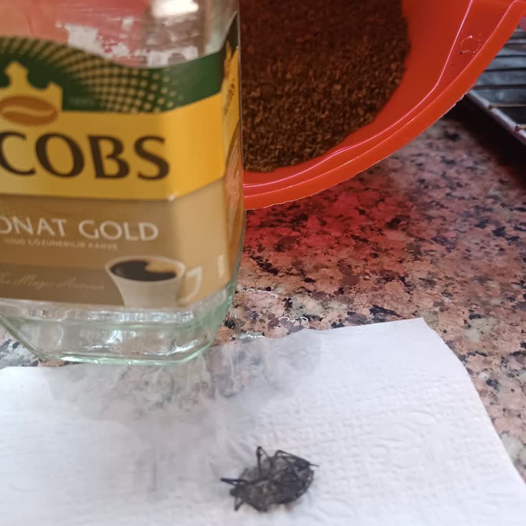 Kahve Paketinden Çıkan Böcek Ve Şaşırtan Firma Yanıtı