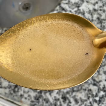 Aldığım Pirinçte Böcek Çıkması Ve Ürün Güvenliği Endişesi