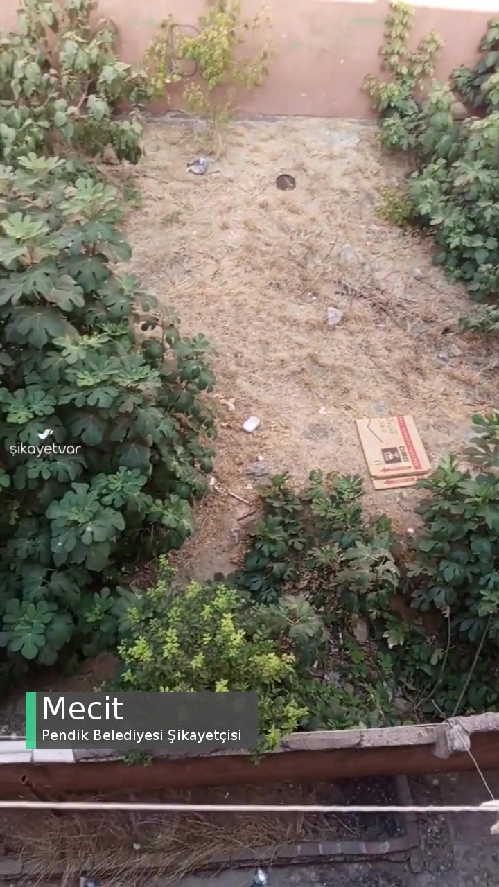 Pendik Belediyesi Boş Arsa Tehlikeli videonun kapak resmi