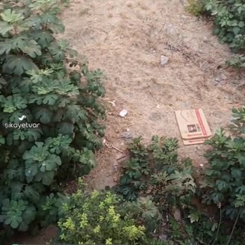 Pendik Belediyesi Boş Arsa Tehlikeli
