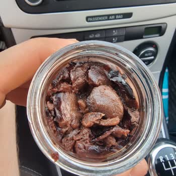 Koku Beklerken Hayal Kırıklığına Uğradım