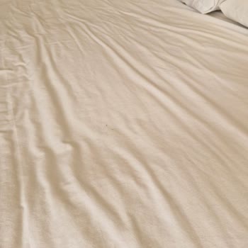 Royal Beach Club Hotel Gümüldür Sorunla Karşılaşma