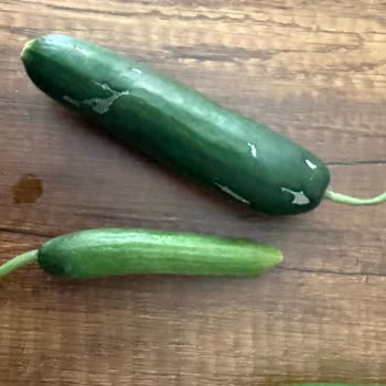 Migros Hemen'den Gelen Salatalık Hayal Kırıklığına Uğrattı