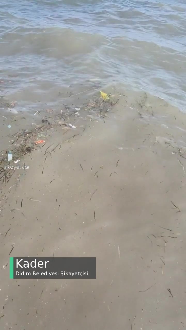 Didim Belediyesi Çöpler Toplanmıyor, Deniz Leş Gibi! videonun kapak resmi