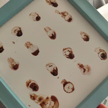 Solmuş Çiçekler, Hayal Kırıklığı Yaratan Teslimat!