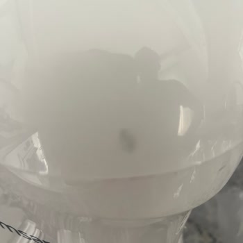 Kırık Ve Kullanılmış Hamur Yoğurma Makinesi Teslimatı Mağduriyeti