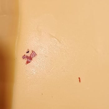 Kaşar Peynirinde Yabancı Madde Ve Yapışık Dilim Sorunu