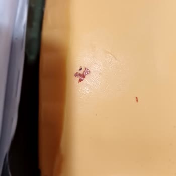 Kaşar Peynirinde Yabancı Madde Ve Yapışık Dilim Sorunu