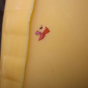 Kaşar Peynirinde Yabancı Madde Ve Yapışık Dilim Sorunu