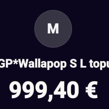 Problemas en Wallapop, dinero retenido y sin solución del soporte