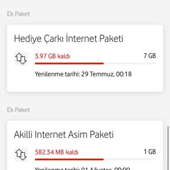 Sistem Hatası Nedeniyle Haksız İnternet Aşım Ücretleri Ve Yetersiz Müşteri Desteği