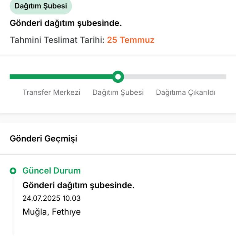 Kargo Teslimatı Gecikiyor, Müşteri Mağdur Ediliyor