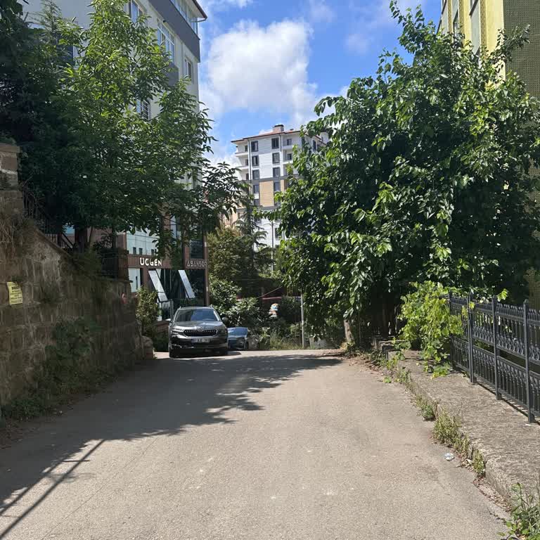 Ortahisar Belediyesi Yolu Kapatan Dallar Hakkında Belediyenin İlgisizliği