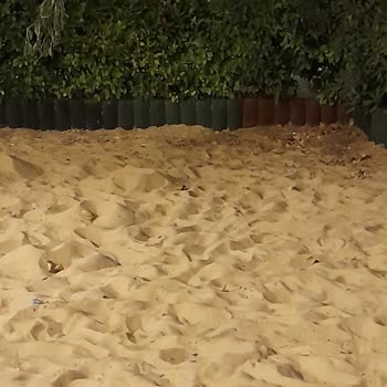 Çocuk Kum Alanında Kötü Koku Ve Oturma Sorunu