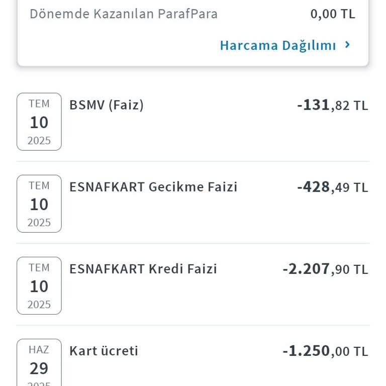 Zorunlu Verilen Kredi Kartına Yüksek Aidat Şoku