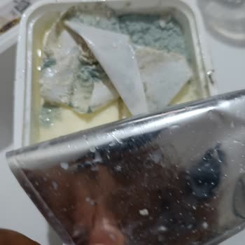 Aldığım Peynir Son Kullanma Tarihi Geçmeden Küflendi Ve Kurtlandı