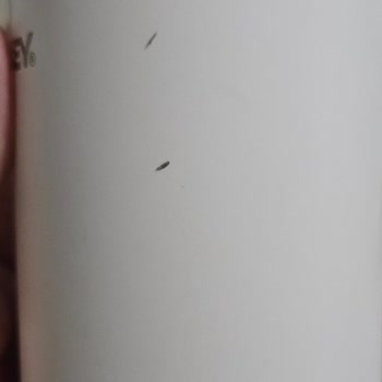 Stanley Termosumun Vakum Yalıtımı Kısa Sürede Bozuldu