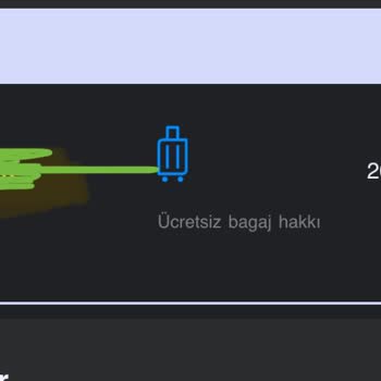 Ajet'te Çocuğumla Yan Yana Koltuk Verilmemesi Mağduriyeti