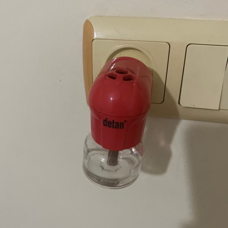 Aldığım Sinek Kovucu Etkisiz Çıktı, Sineklerden Uyuyamıyorum