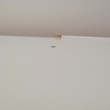 Kusurlu Gardırop, İlgisiz Mağaza: Paramızla Mağdur Olduk