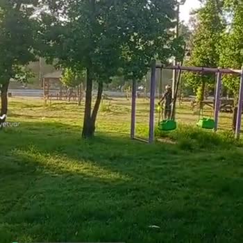 Köyceğiz Belediyesi Çim Biçme Sesi İle Uyanıyoruz!