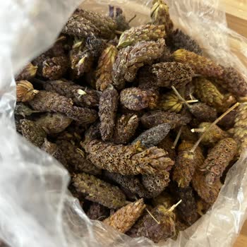 Aldığım Karabaş Otu Paketlenmeden Ve Bayat Şekilde Gönderildi, Çözüm Sunulmadı