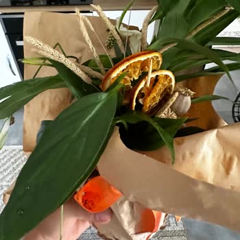 Canlı Çiçek Siparişim 6 Günde Ulaştı, Hediye Mahvoldu