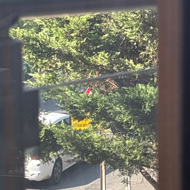 Otobüs Geçmeyen Durak Levhası Park Sorunu Yaratıyor