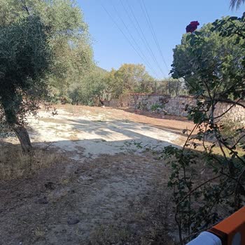 Otelin Hijyen Sorunları Ve Eksik Hizmetler Tatili Olumsuz Etkiledi