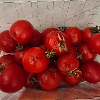 Çürük Sebze Gönderildi, Para İadesi De Yapılmadı