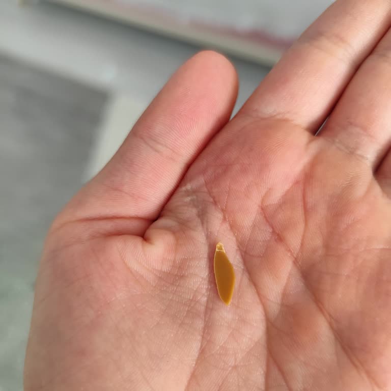 Dondurmada Plastik Parça Çıkması Ve Güvenlik Endişesi